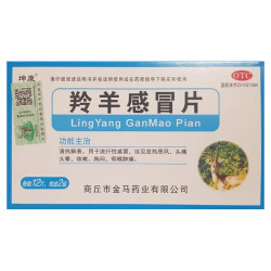 Ling Yang Gan Mao Pian – Naturalne Wsparcie w Leczeniu Przeziębienia i Gorączki