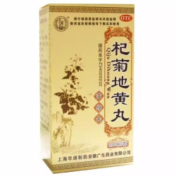 QiJu DiHuang Wan – wzrok i suchość oczu